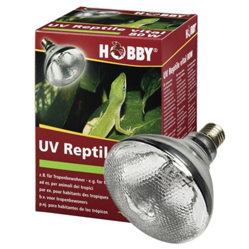 נורת חימום UVAB ותאורה 80W