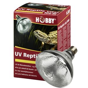 נורת חימום UVAB ותאורה 100W, הובי