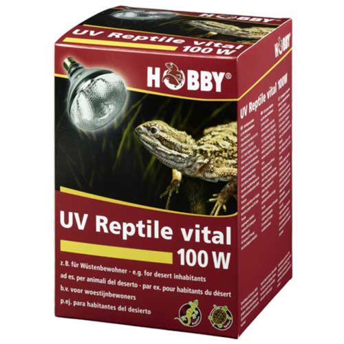 נורת חימום UVAB ותאורה 100W, הובי