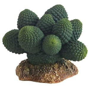 דקורציה צמח קקטוס אטקמה במידות 5X6X7 ס"מ | Cactus Atacama