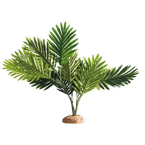 דקורציה עץ דקל 55X40X60 ס