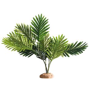 דקורציה עץ דקל 55X40X60 ס"מ | Palm