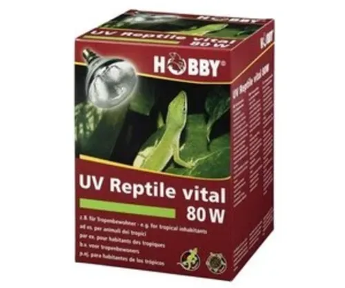 UV Reptile Vital 80W