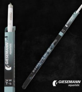 GIESEMANN PowerChrome AquaBlue Coral T5 24w | נורת T5 למלוחים