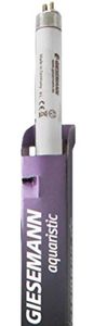 GIESEMANN Super Purple T5 54w | נורת T5 למלוחים בגוון סגול