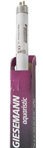 GIESEMANN Super Purple T5 39w | נורת T5 למלוחים בגוון סגול
