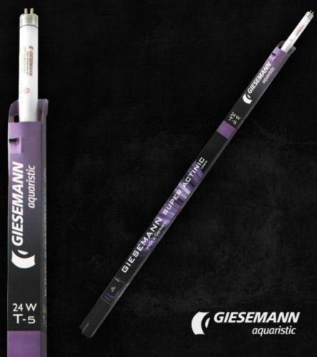 GIESEMANN Super Purple T5 24w | נורת T5 למלוחים בגוון סגול
