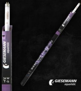 GIESEMANN Super Purple T5 24w | נורת T5 למלוחים בגוון סגול