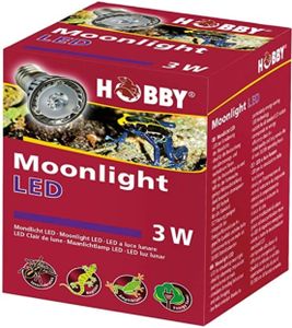HOBBY Moonlight led -3w | נורת אור ירח לטרריום