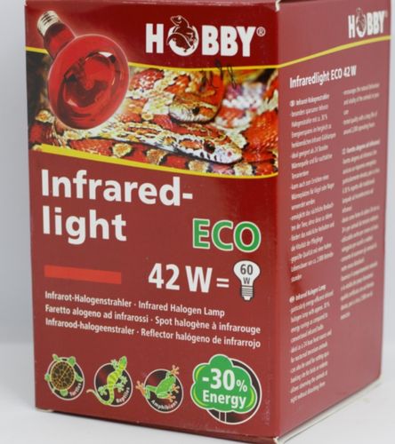 Infra red-light 42w | נורת חימום חסכונית לזוחלים