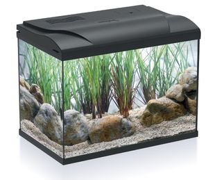 אקווריום 20 ליטר במידות: 39X22X30 ס"מ | HS aqua Coldy 20 aquarium