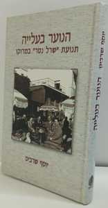 הנוער בעלייה - יוסף שרביט