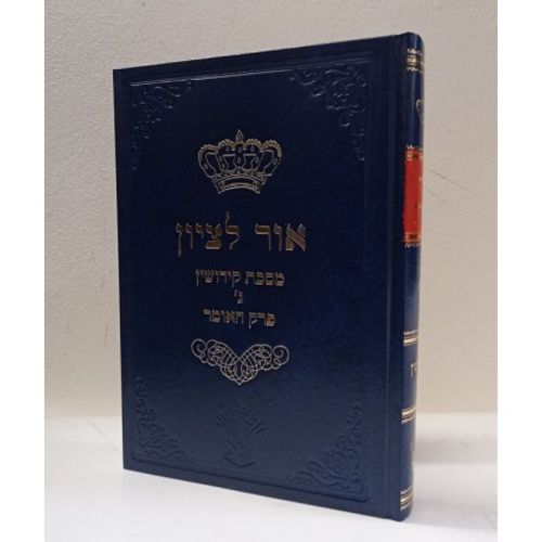 אור לציון קידושין ג'
