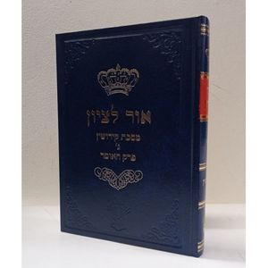 אור לציון קידושין ג