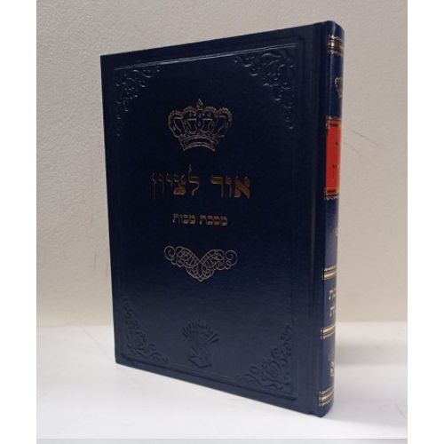 אור לציון - מכות