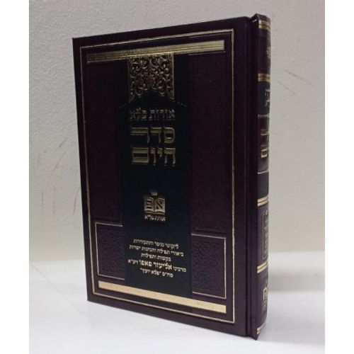 אורות פלא - סדר היום