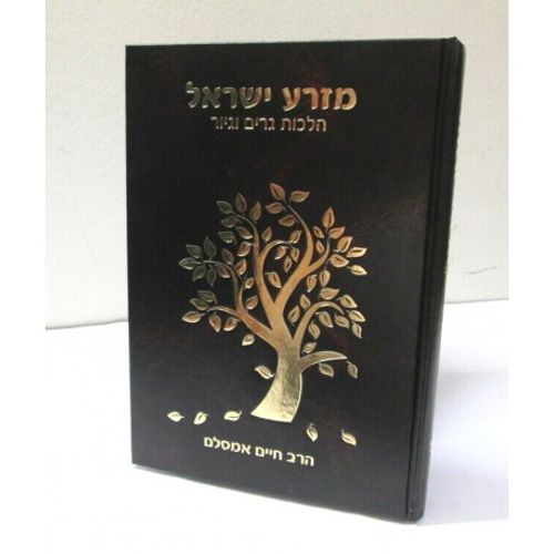 מזרע ישראל - מורחב