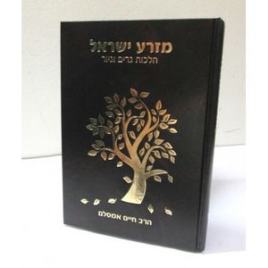 מזרע ישראל - מורחב
