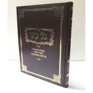 שו"ת גל עיני חלק ד