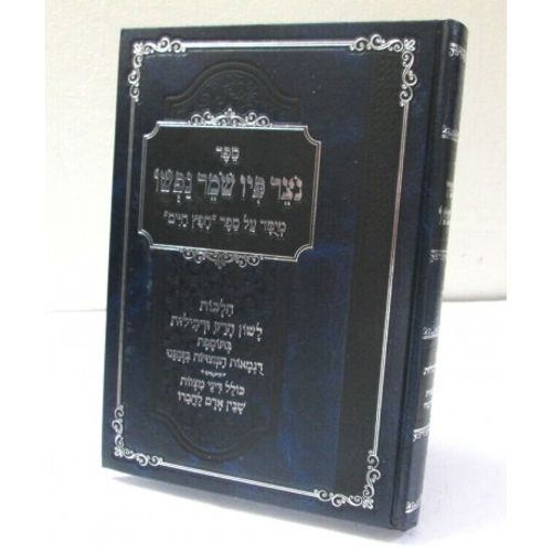 נצר פיו שמר נפשו