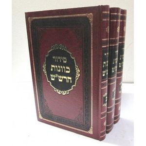 סידור כוונות הרש"ש ג"כ