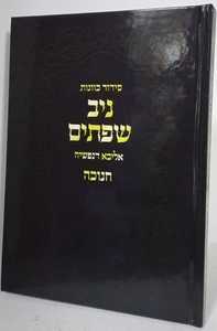 ניב שפתים - חנוכה