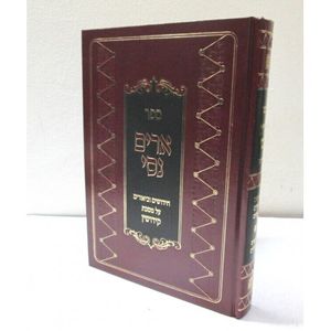 ארים נסי - קידושין