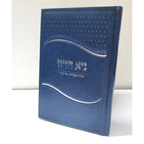 גיא חזיון