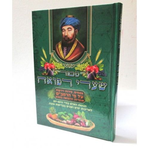שערי רפואה על פי הרמב
