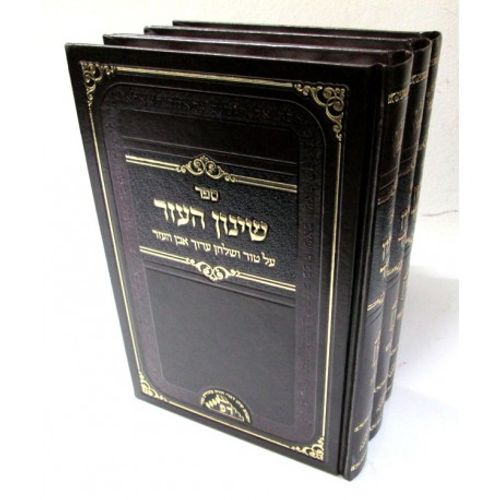 שינון העזר ג