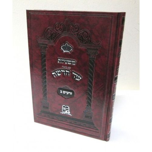 עיר חדשה - משניות זרעים ב'