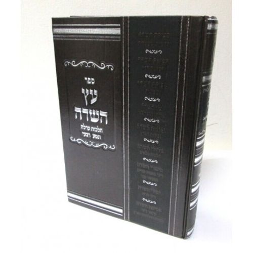 עץ השדה - ערלה נטע רבעי