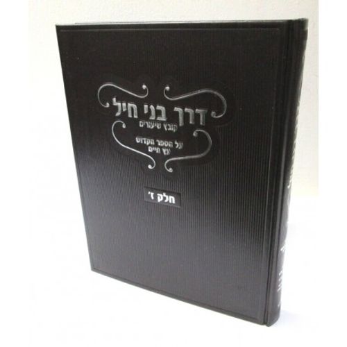דרך בני חיל חלק ז'