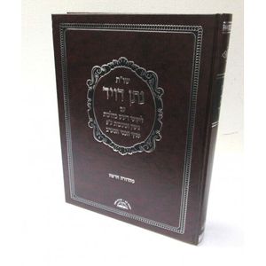 שו"ת נתן דויד