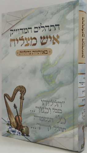 תהלים המדוייק - איש מצליח