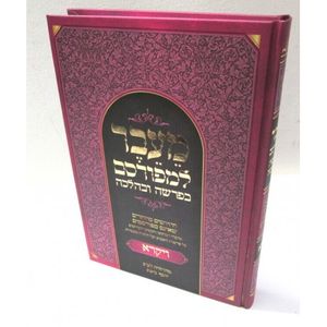 מעבר למפורסם - ויקרא