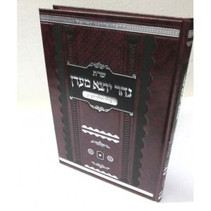 שו"ת נהר יוצא מעדן א