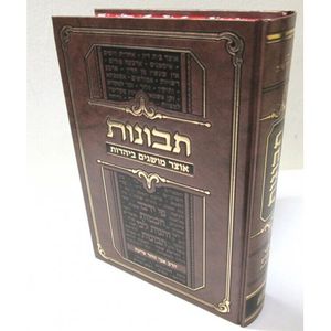 תבונות - מושגים ביהדות