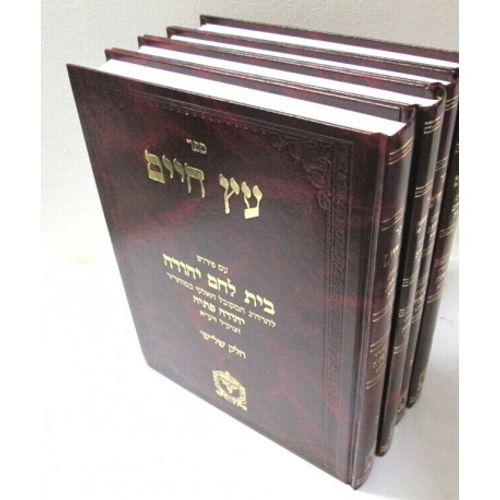 עץ חיים ע