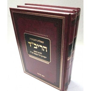 שו"ת הריב"ד ב