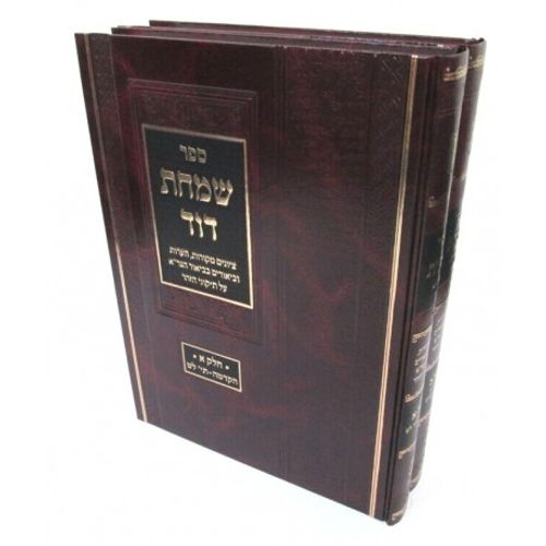 שמחת דוד ב