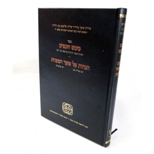 כינוס חכמים