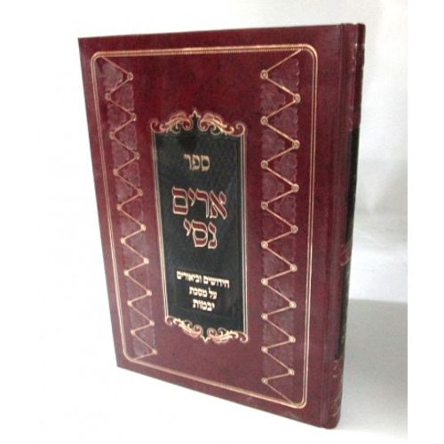 ארים נסי - יבמות