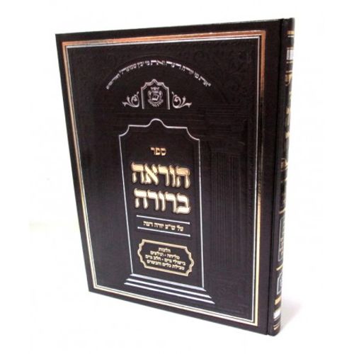 הוראה ברורה יו