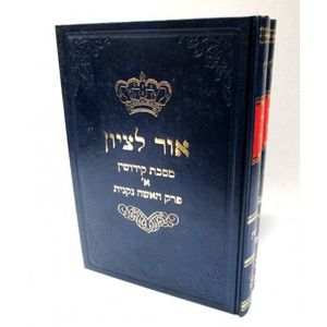 אור לציון קידושין ב