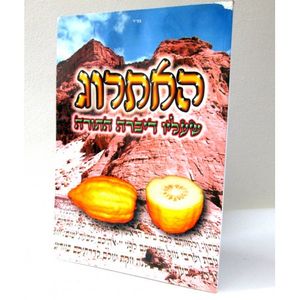 האתרוג