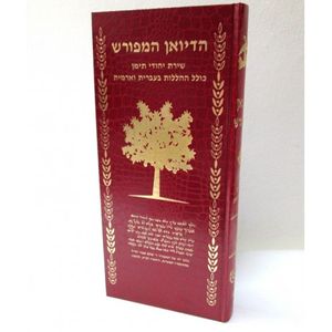 הדיואן המפורש