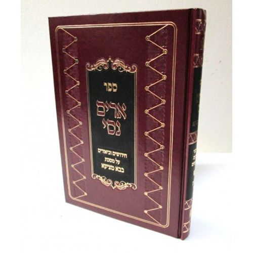 ארים נסי בבא מציעא חלק א'