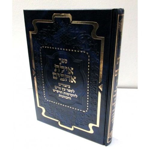 אילת אהבים א'  ג'