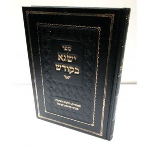 ישגא בקודש - תיקונים